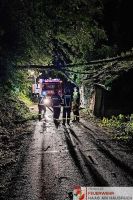 _2024-09-16 Baum über Straße Brunnberg-225746